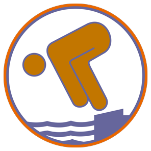 abbildung abzeichen jugendschwimmabzeichen bronze